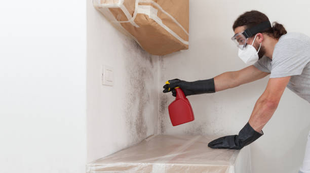 Attic Mold Remediation treatment on roof deck in Payneville